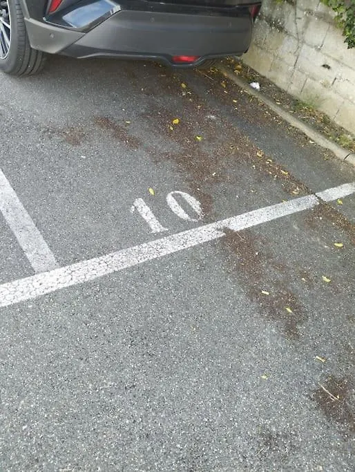 Apartmán Studio Cosy Parking Proche Orly Chille Francie
